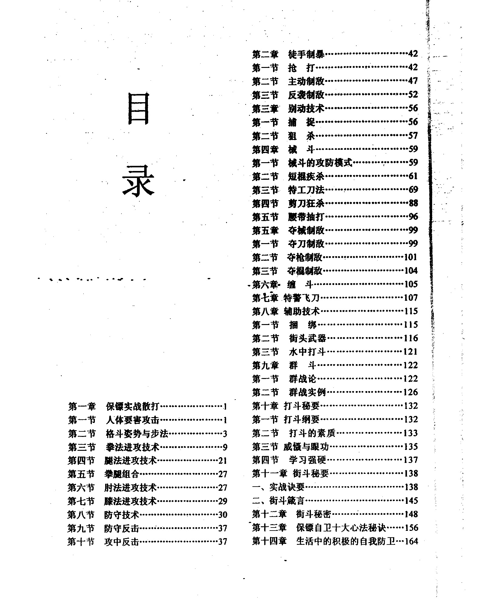 王洁 中国保镖训练教程 保镖功夫