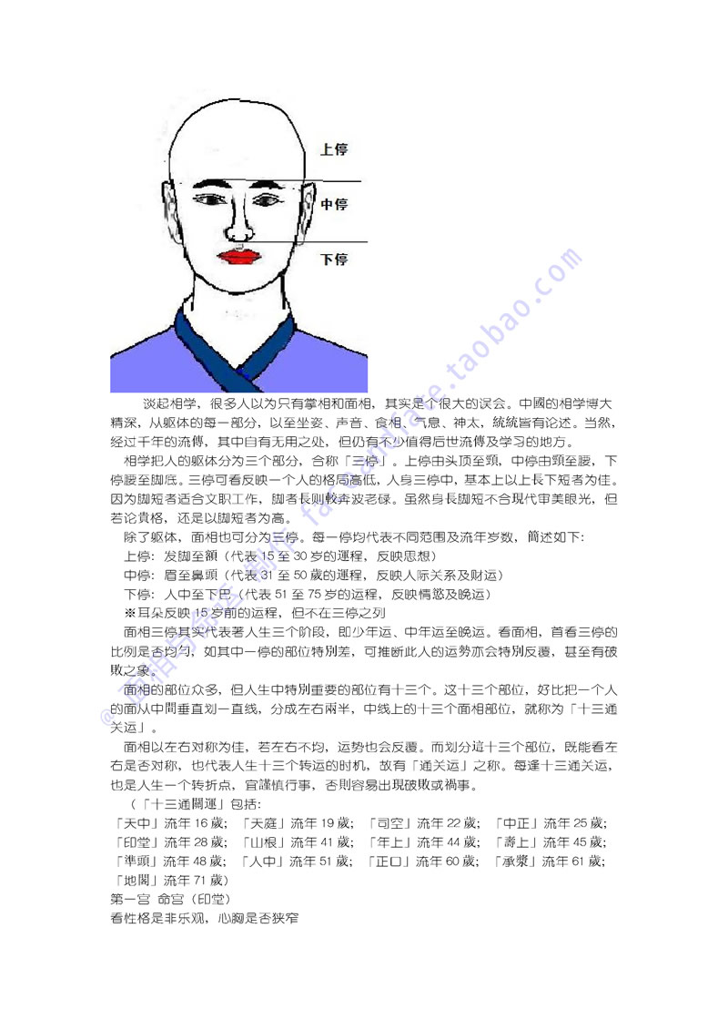 麦玲玲面相讲座笔记