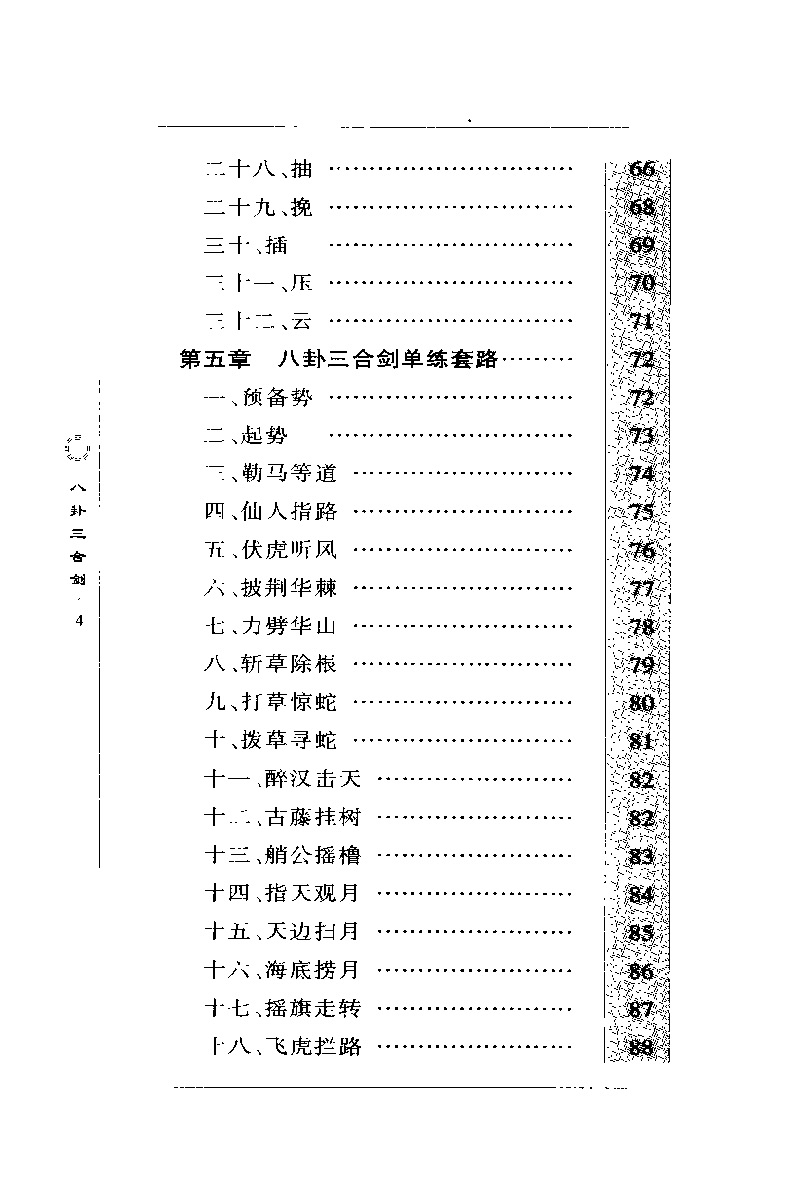 张全亮 八卦三合剑